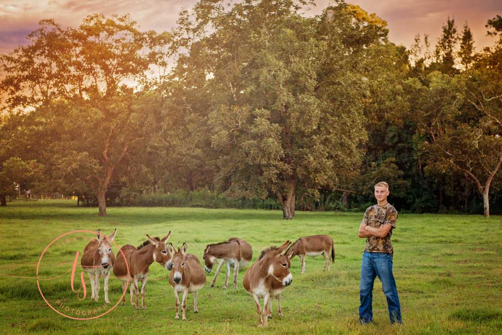 senior boy posing with donkeys