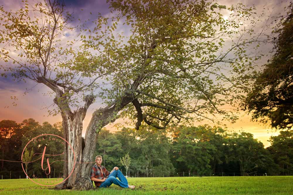 senior boy sitting under a big oak tree at sunset